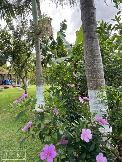 Sítio, 2 quartos, 2800 m² - Foto 3