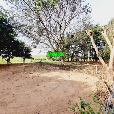 Chácara, 3 quartos, 2 hectares - Foto 2