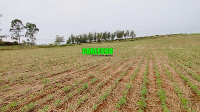 Chácara, 15 hectares - Foto 1