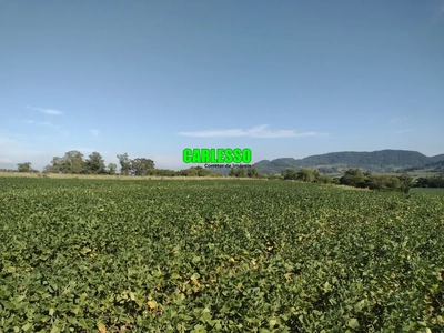 Fazenda-Sítio-Chácara, 9 hectares - Foto 3