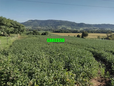 Fazenda-Sítio-Chácara, 9 hectares - Foto 1