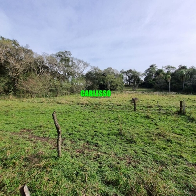 Chácara, 2 quartos, 2 hectares - Foto 2