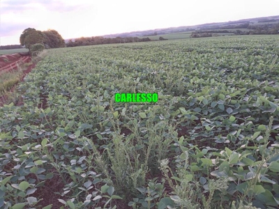 Fazenda-Sítio-Chácara, 48 hectares - Foto 1