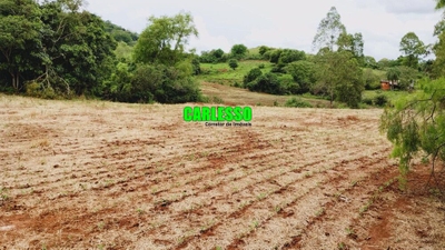 Sítio, 15 hectares - Foto 4