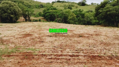 Sítio, 15 hectares - Foto 3