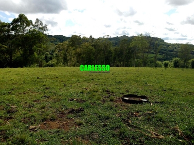 Terreno, 5 hectares - Foto 3