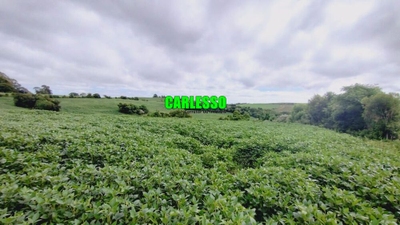 Fazenda-Sítio-Chácara, 6 hectares - Foto 1