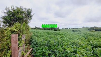 Fazenda-Sítio-Chácara, 6 hectares - Foto 4