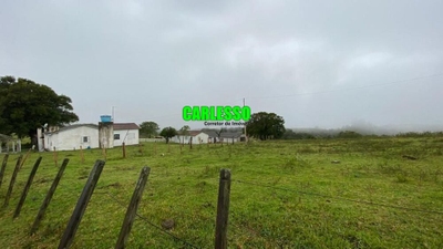 Fazenda-Sítio-Chácara, 576 hectares - Foto 3