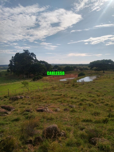 Chácara, 2 quartos, 39 hectares - Foto 3