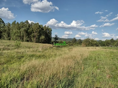 Chácara, 2 quartos, 15 hectares - Foto 4