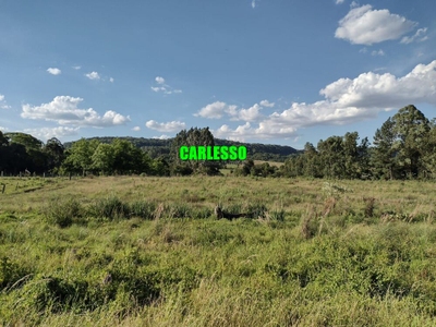 Chácara, 2 quartos, 15 hectares - Foto 3