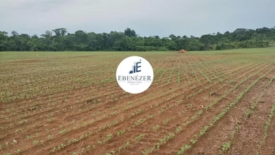 Fazenda-Sítio-Chácara, 2492 hectares - Foto 3