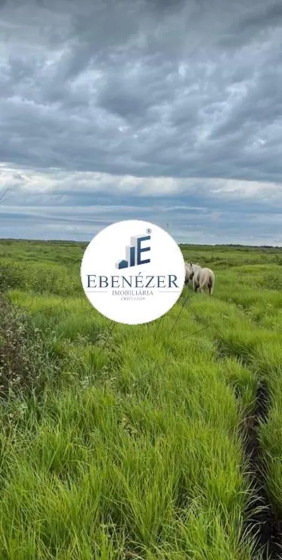 Fazenda-Sítio-Chácara, 2423 hectares - Foto 1