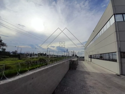 Depósito-Galpão - Foto 2