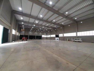 Depósito-Galpão - Foto 4