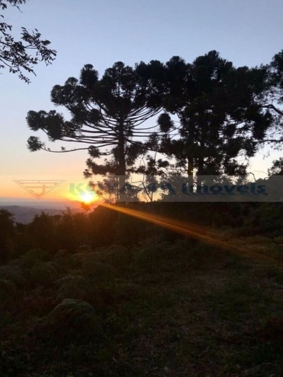 Sítio, 5 quartos, 68 hectares - Foto 4