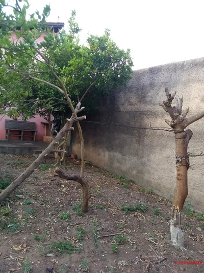 Casa, 1 quarto - Foto 5