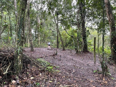 Terreno, 1 hectares - Foto 1