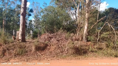 Terreno, 1125 m² - Foto 3