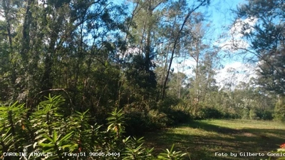 Terreno, 1125 m² - Foto 5