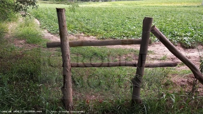 Fazenda-Sítio-Chácara, 21 hectares - Foto 3