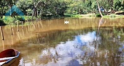 Sítio, 4 quartos, 7 hectares - Foto 3