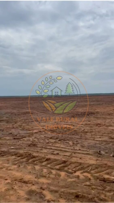 Fazenda-Sítio-Chácara - Foto 2