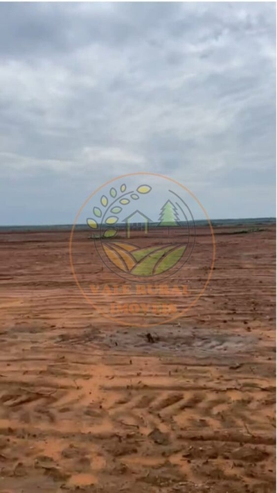 Fazenda-Sítio-Chácara - Foto 1