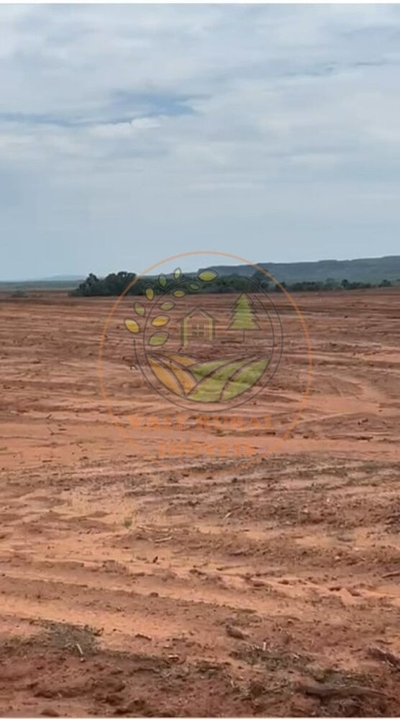 Fazenda-Sítio-Chácara - Foto 3