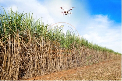 Fazenda-Sítio-Chácara - Foto 3
