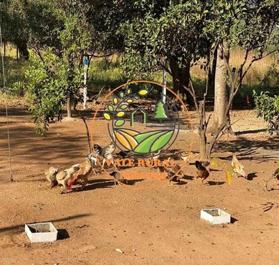 Fazenda-Sítio-Chácara, 900 m² - Foto 4