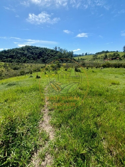 Fazenda-Sítio-Chácara, 2 hectares - Foto 1