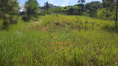 Terreno, 2 hectares - Foto 1