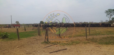 Fazenda-Sítio-Chácara, 1 hectares - Foto 2