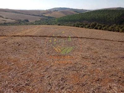 Fazenda-Sítio-Chácara - Foto 3