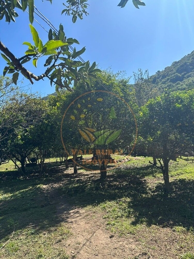 Chácara, 2 quartos, 3 hectares - Foto 4