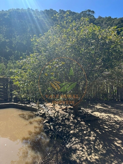 Chácara, 2 quartos, 3 hectares - Foto 3