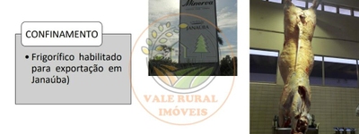 Fazenda-Sítio-Chácara, 1 quarto - Foto 5