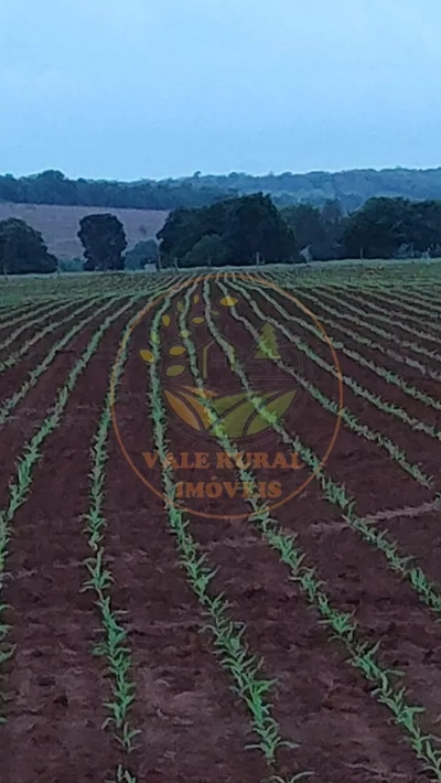 Fazenda-Sítio-Chácara - Foto 4