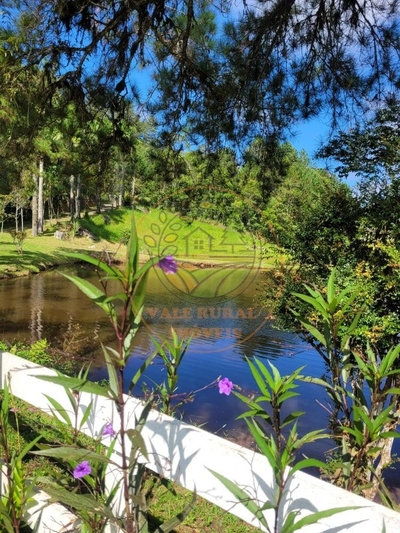 Sítio, 2 quartos - Foto 3