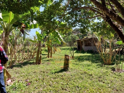 Sítio, 3 quartos, 40000 m² - Foto 4