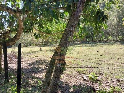 Sítio, 3 quartos, 40000 m² - Foto 5