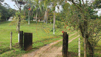 Chácara, 2 quartos, 10000 m² - Foto 1