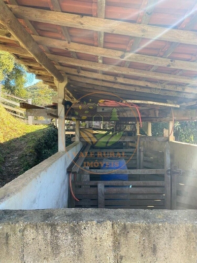 Fazenda-Sítio-Chácara, 5 hectares - Foto 3