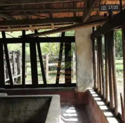 Fazenda-Sítio-Chácara, 3 quartos - Foto 3