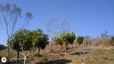 Chácara, 1 hectares - Foto 4