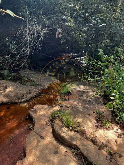 Fazenda, 2 hectares - Foto 2