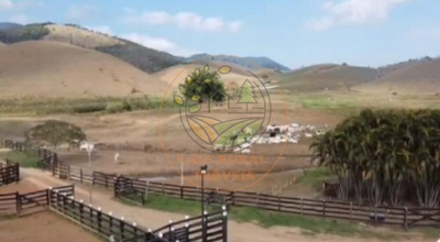 Fazenda-Sítio-Chácara, 7 quartos - Foto 4