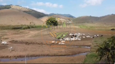 Fazenda-Sítio-Chácara, 7 quartos - Foto 5